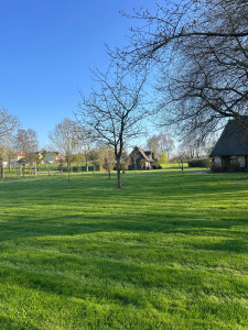 Photo de galerie - Tonte 
