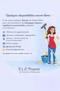 Photo de galerie - Aide ménagère 