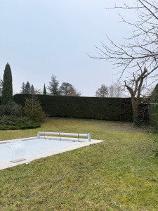 Photo de galerie - Taille de haies et d'arbustes