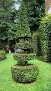 Photo de galerie - Taille de haie