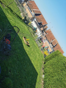 Photo de galerie - Tonte de pelouse - Débroussaillage