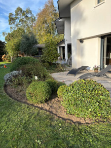 Photo de galerie - Désherbage et taille d'arbustes 