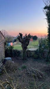 Photo de galerie - Après 