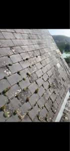 Photo de galerie - Grattage mouse 