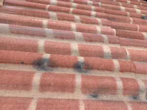 Photo de galerie - Couverture - Toiture