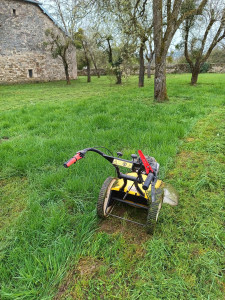 Photo de galerie - Débroussaillage d'un verger
