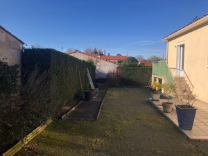 Photo de galerie - Taille haie tuya