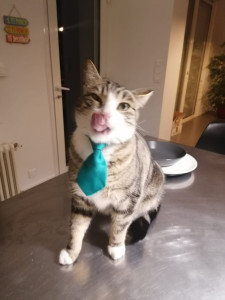 Photo de galerie - Soirée avec Nino ?♥️