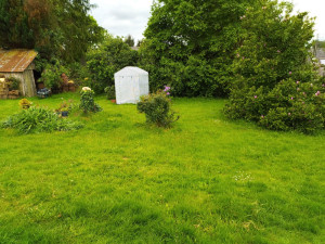 Photo de galerie - Tonte et débroussaillage - Avant