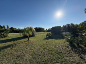 Photo de galerie - Tonte de pelouse - Débroussaillage