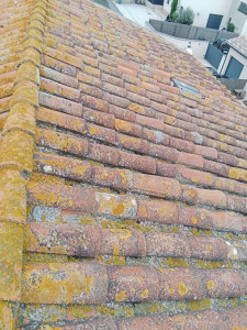 Photo de galerie - Professionnel de la couverture 

Rénovation de toiture
Étanchéité 
Nettoyage anti-mousse 
Hydrofuge 
Isolation des combles 
Pose de gouttière aluminium zinc 
Boiserie 

H&h couverture 
Votre couvreur zingueur charpentier
