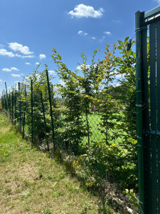 Photo de galerie - Démontage de l’ancienne clôture souple
