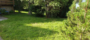 Photo de galerie - Avant tonte