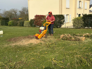Photo de galerie - Prestations de Rognage de souche
