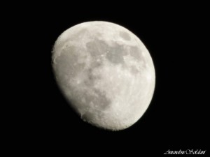 Photo de galerie - Photographe