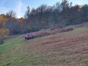 Photo de galerie - Broyage espace vert 