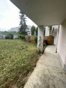 Photo de galerie - Remise en état d'un jardin non entretenu depuis février 2025 [2/4]