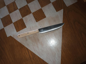 Photo de galerie - Couteau forgé à la main 