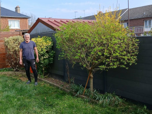 Photo de galerie - Après : débroussaillage et rafraichissement des arbustes 
