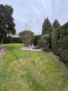 Photo de galerie - Taille de haie et d’arbuste à 31490 Leguevin 