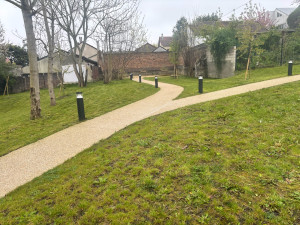 Photo de galerie - Tonte 