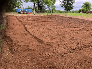 Photo de galerie - Paysagiste - Aménagement du jardin