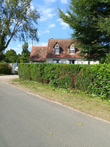 Photo de galerie - Rabattage et taille de haie ?