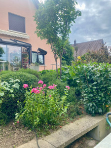 Photo de galerie - Après désherbage