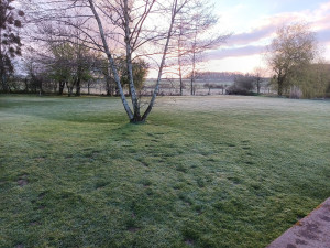 Photo de galerie - Tonte régulière 