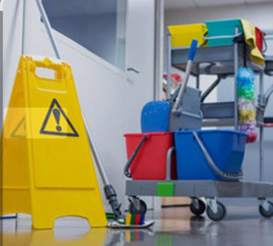 Photo de galerie - Ras