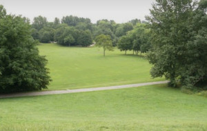 Photo de galerie - Voici ce que je vous propose 