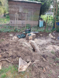Photo de galerie - Enlevé des souche d'arbres. 
