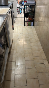 Photo de galerie - Nettoyage d’une cuisine de snack