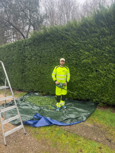 Photo de galerie - Taille de haies et d'arbustes