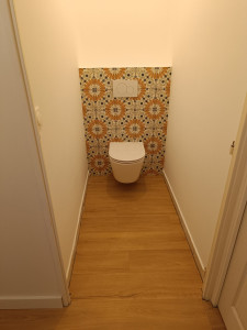 Photo de galerie - Remplacement d'un WC par un WC suspendu avec habillage du châssis.
