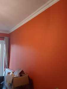 Photo de galerie - Réalisations enduit complet murs et plafond au rouleau lissage Lame a lisser mise en peinture 