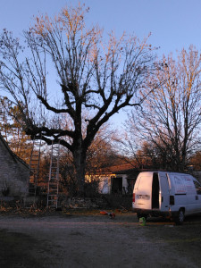 Photo de galerie - Mes prestations ?