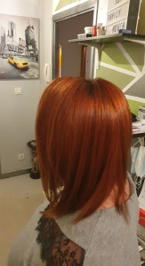 Photo de galerie - Roux