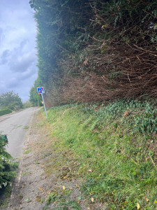 Photo de galerie - Taille d’une haie sur bordure de route dégagement du trottoir pour piétons 