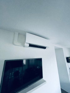 Photo de galerie - Daikin emura 