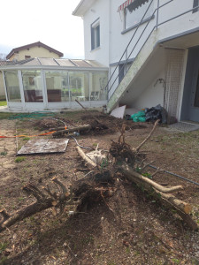 Photo de galerie - Après abattage haie
