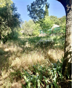 Photo de galerie - Jardinier