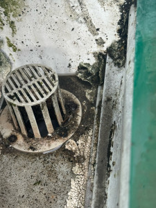 Photo de galerie - Infiltration d’eau, de la gouttière jusqu’à la véranda  