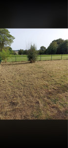 Photo de galerie - Remise en état d un terrain en friche 