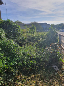 Photo de galerie - Début d’un gros débroussaillage de terrain