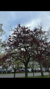 Photo de galerie - Déménageurs et aide au déménagement