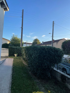 Photo de galerie - Tailles de haies et débroussaillage 