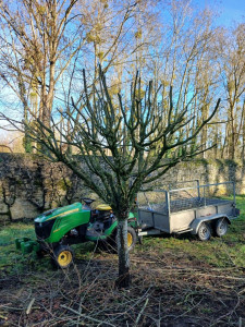 Photo de galerie - Pommier après taille 