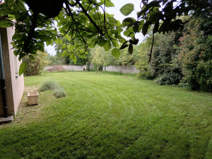 Photo de galerie - Tonte de pelouse.
