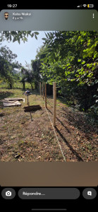 Photo de galerie - Matériel à disposition, extérieur, clôture 